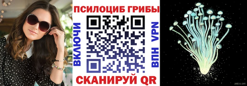 Купить  Чехов  Галлюциногенные грибы Psilocybine cubensis 